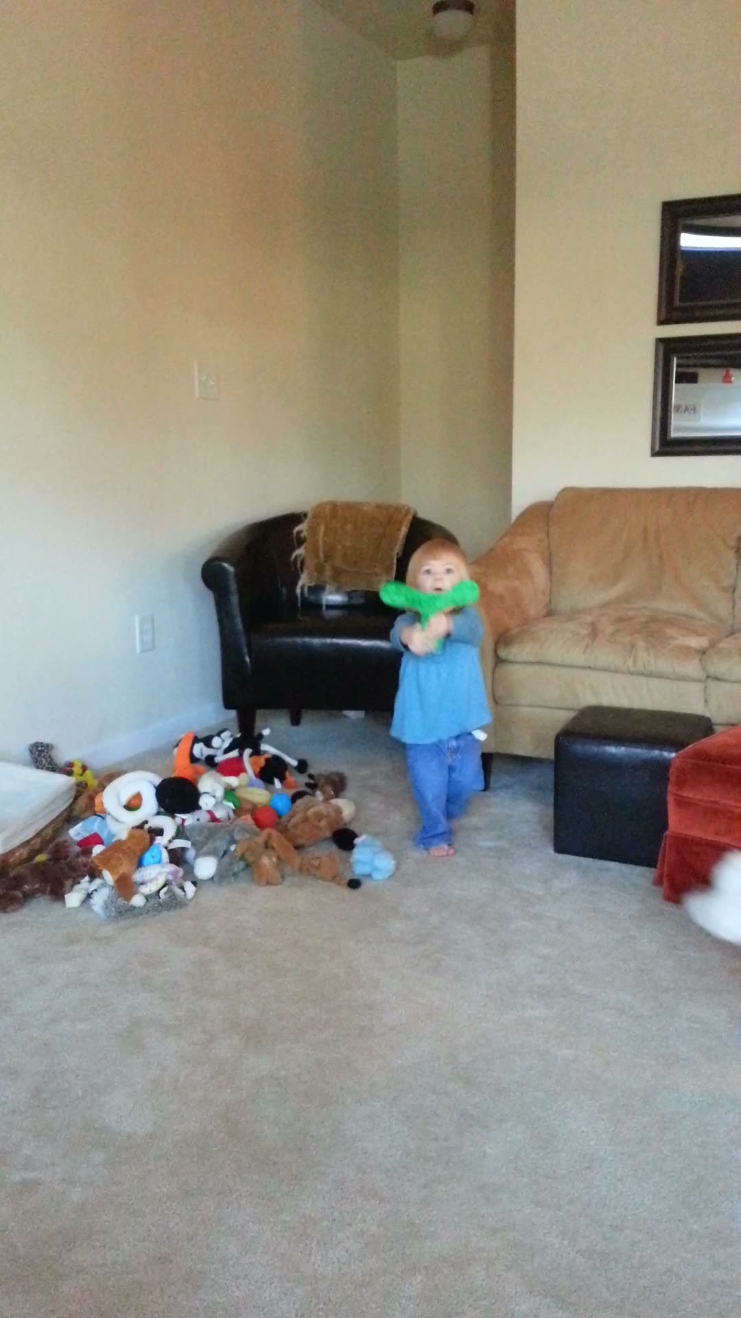 Home video — 2013-01-19